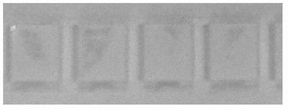 Tasteless double-functional material for cleaning and lubricating semiconductor packaging mold