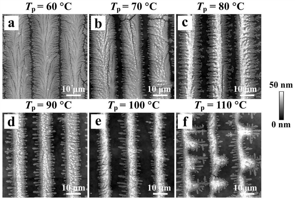 Method for preparing two-dimensional precious metal micro-nano pattern large-scale array