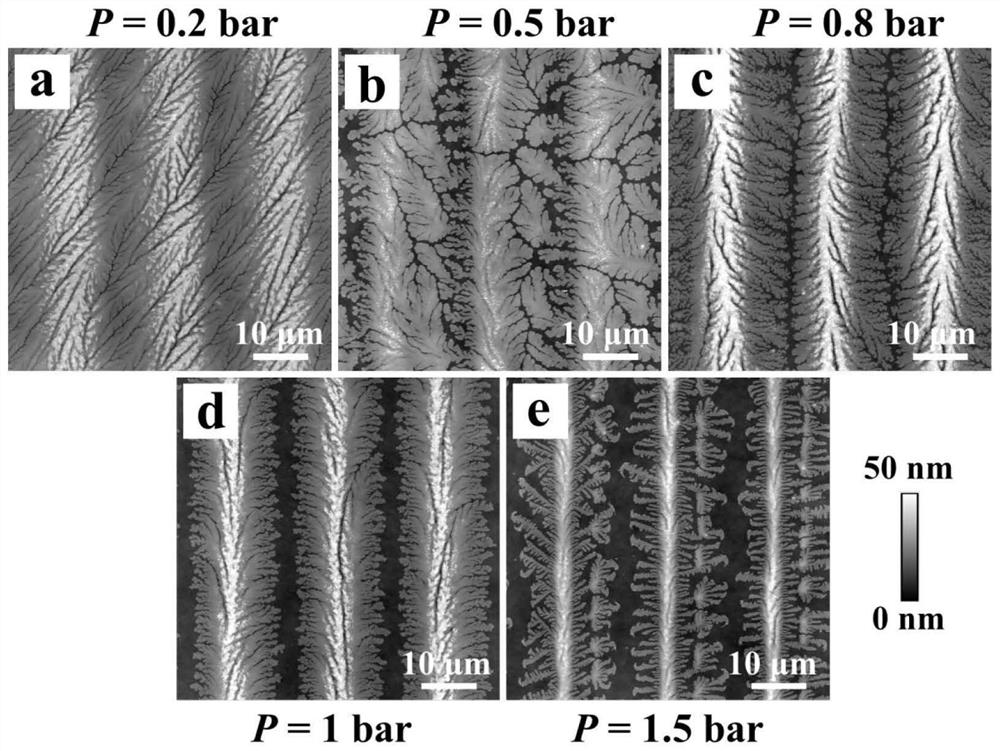 Method for preparing two-dimensional precious metal micro-nano pattern large-scale array