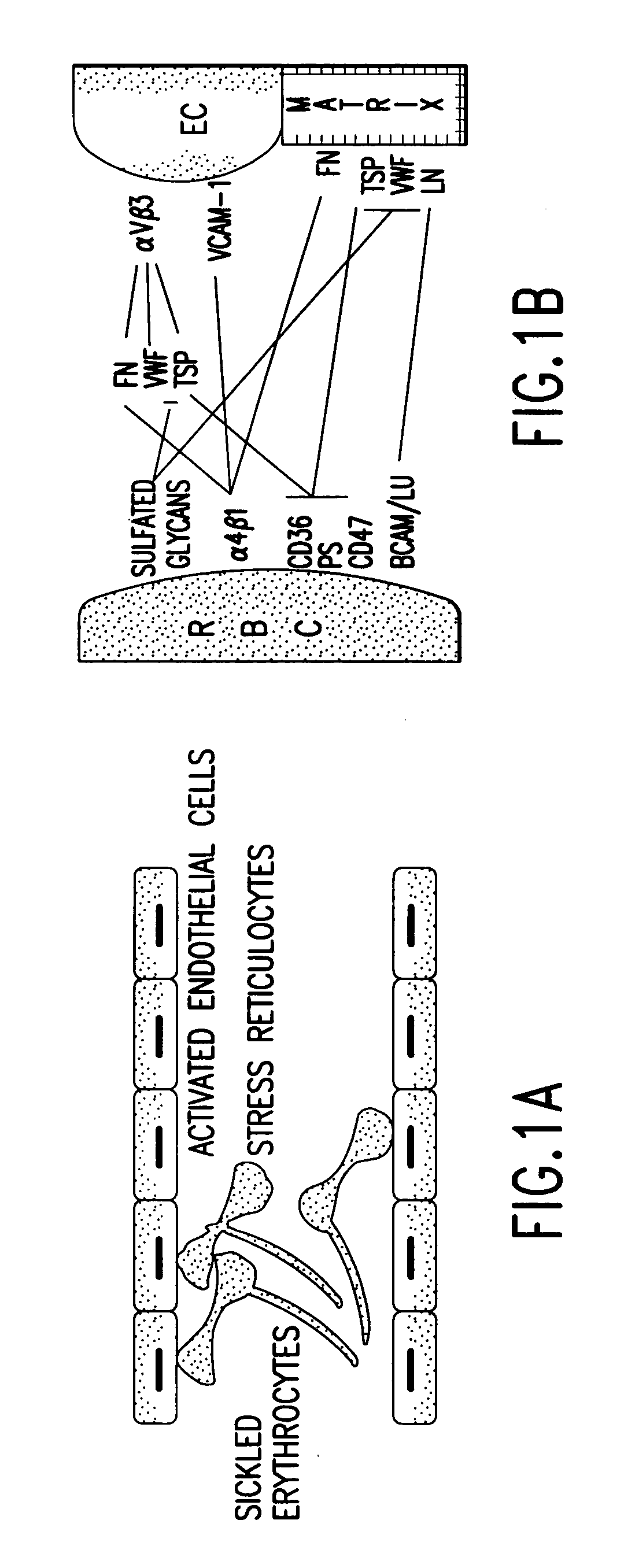 Methods of treating sickle cell disease