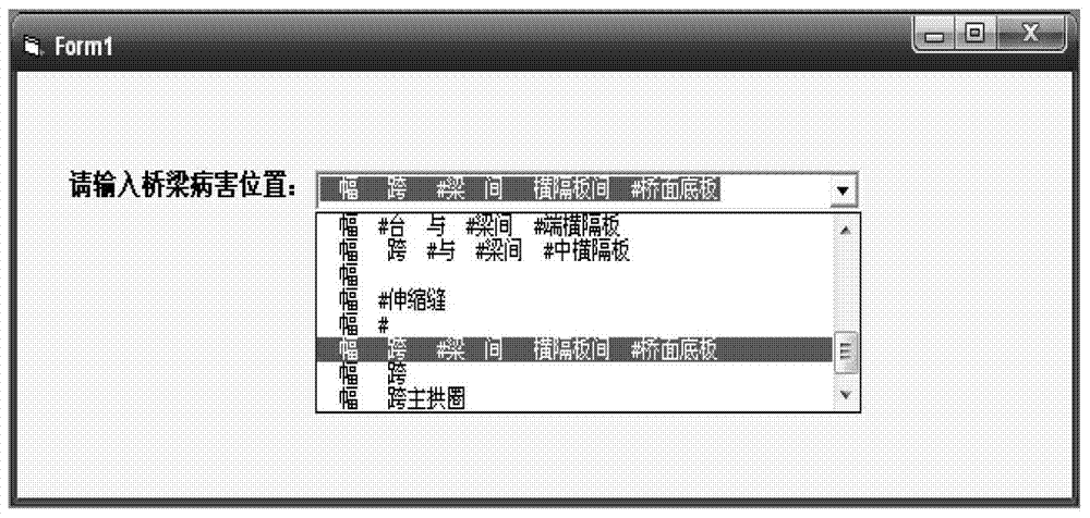 A data prompt for data input items and a programming method for data input