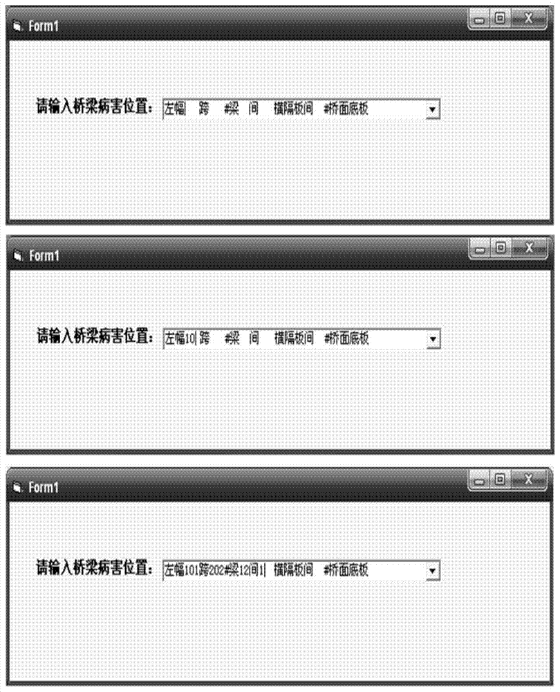 A data prompt for data input items and a programming method for data input