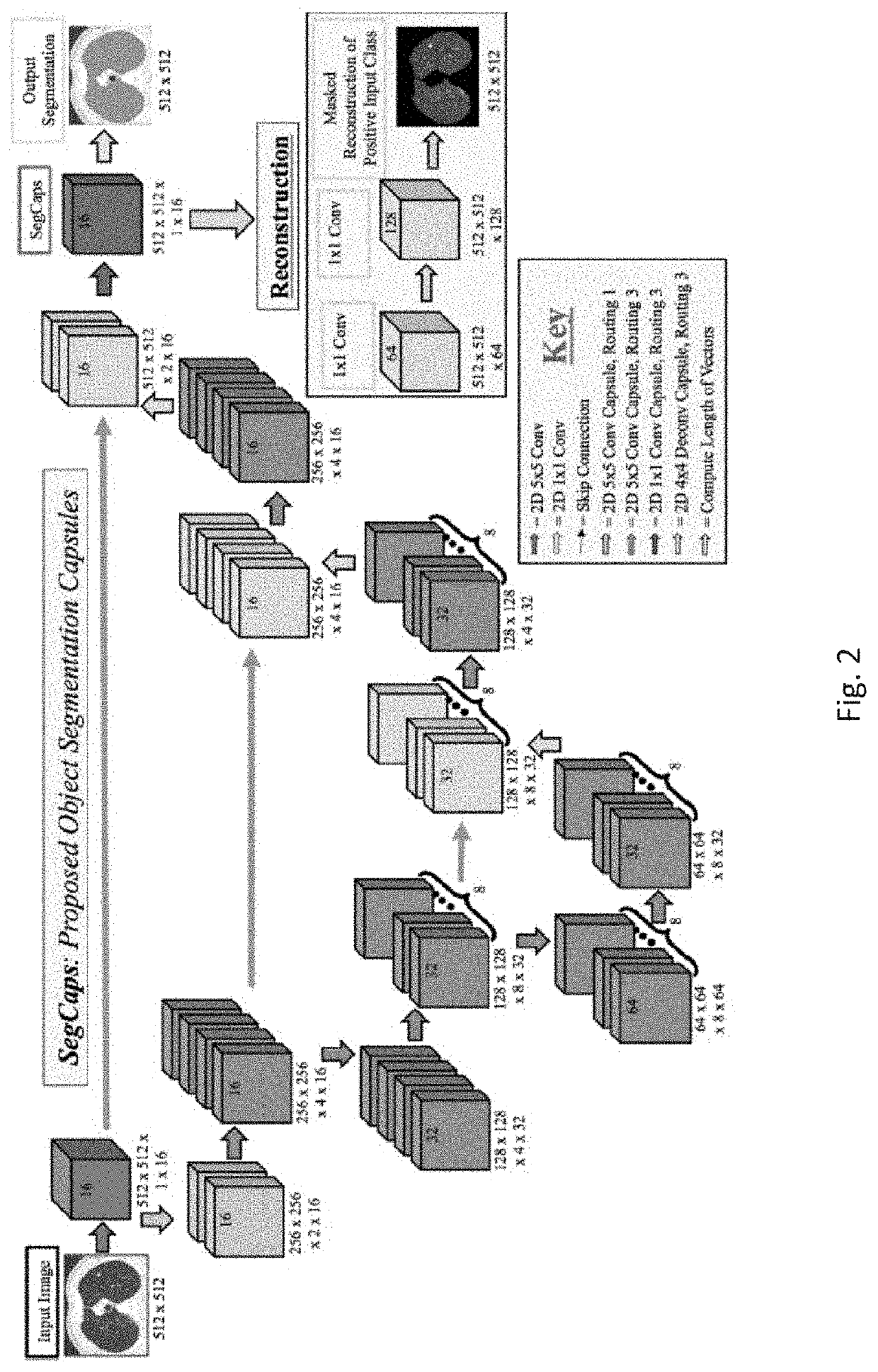 Capsules for image analysis