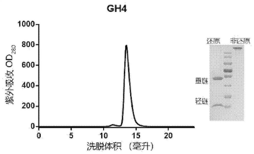 Humanized monoclonal antibody of novel coronavirus and application thereof