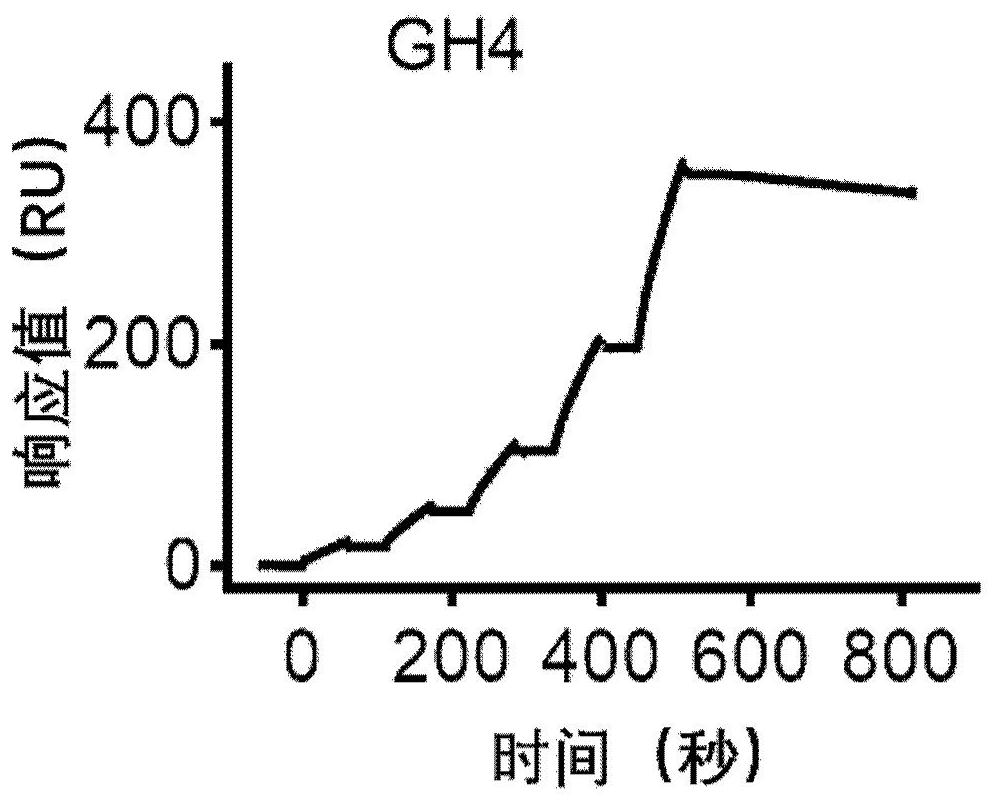 Humanized monoclonal antibody of novel coronavirus and application thereof