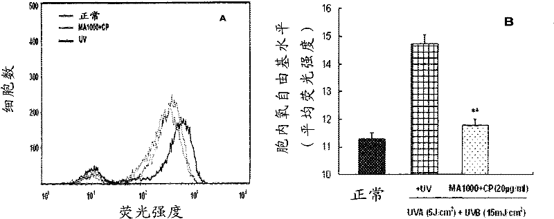 Complex of marine oligosaccharides and collagen peptides, preparation method thereof and application thereof