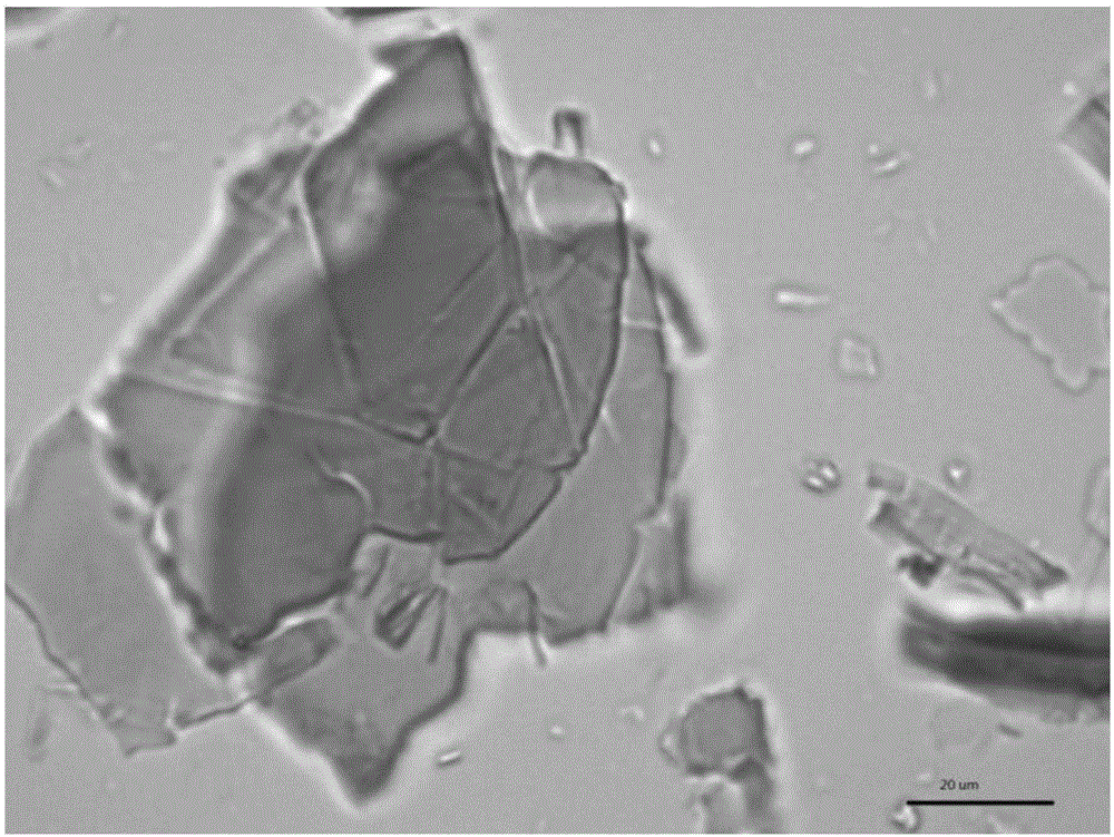 Preparation method of high-conductivity graphene powder