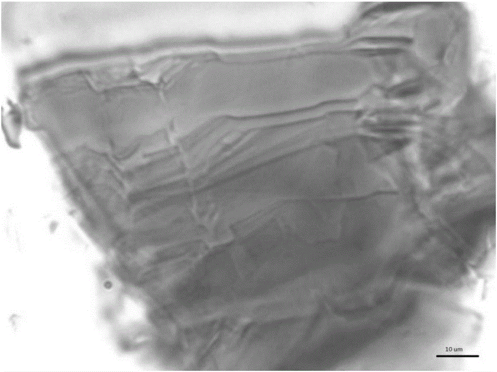 Preparation method of high-conductivity graphene powder