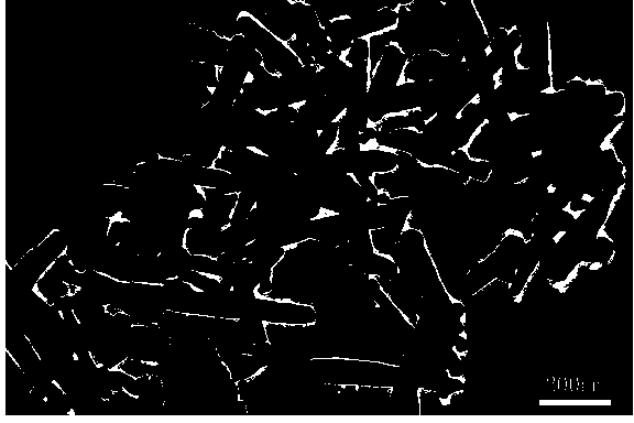 Lead molybdate nano crystal material and preparation method thereof