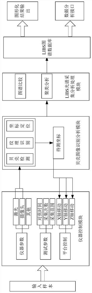 Shell texture analysis system and method based on LIBS technology