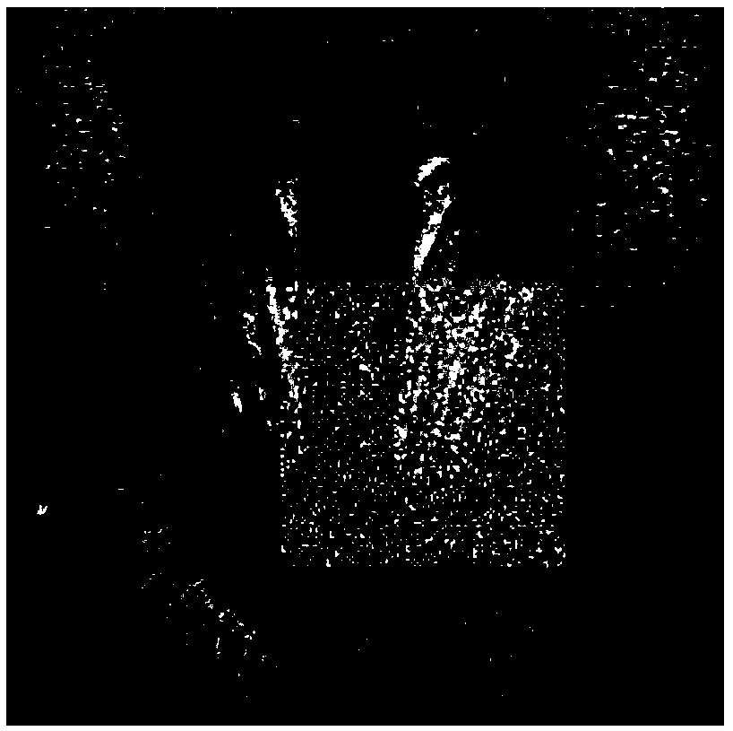 Method and apparatus for blind separation of permutation aliasing image