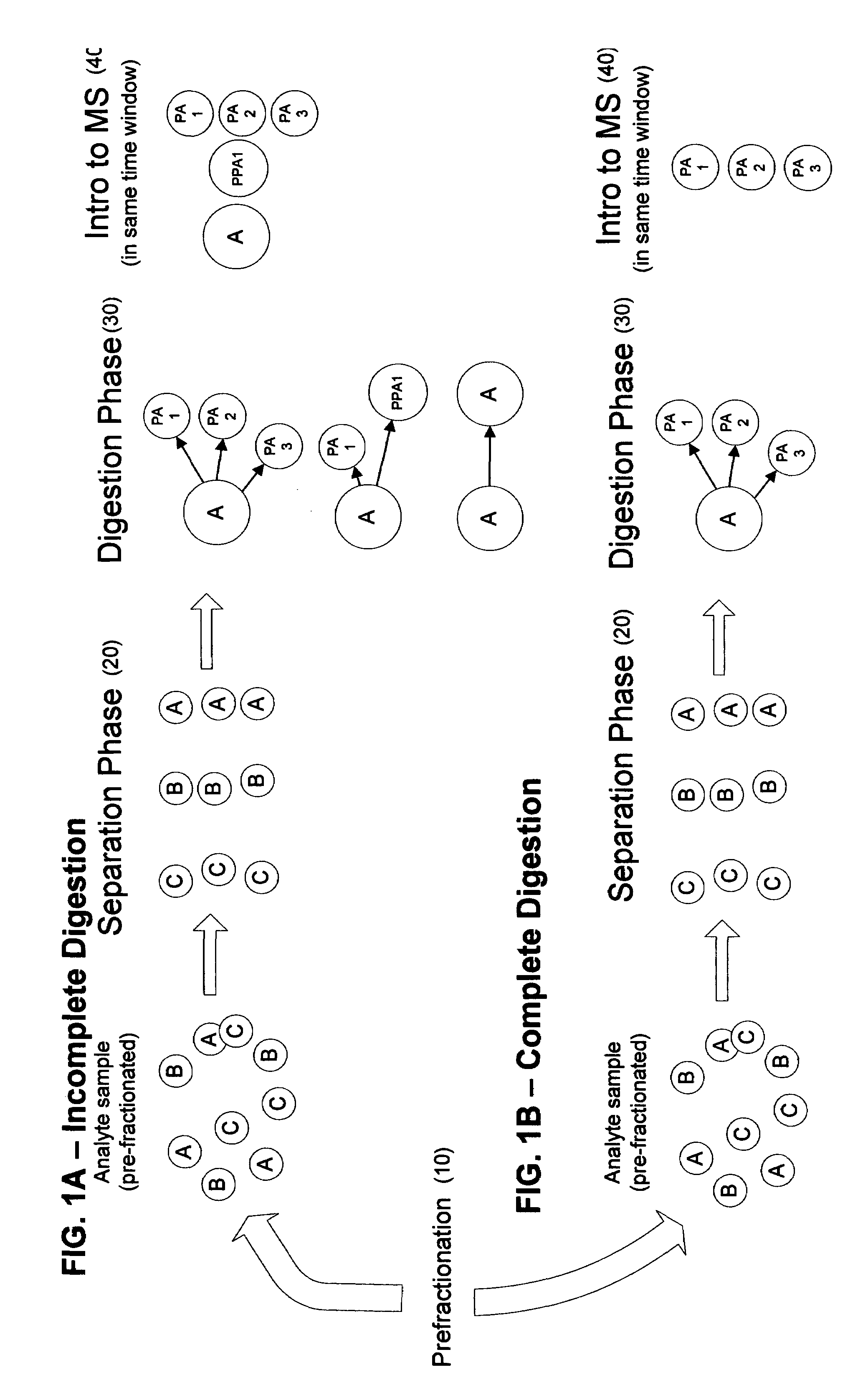 Linear high-throughput proteomics