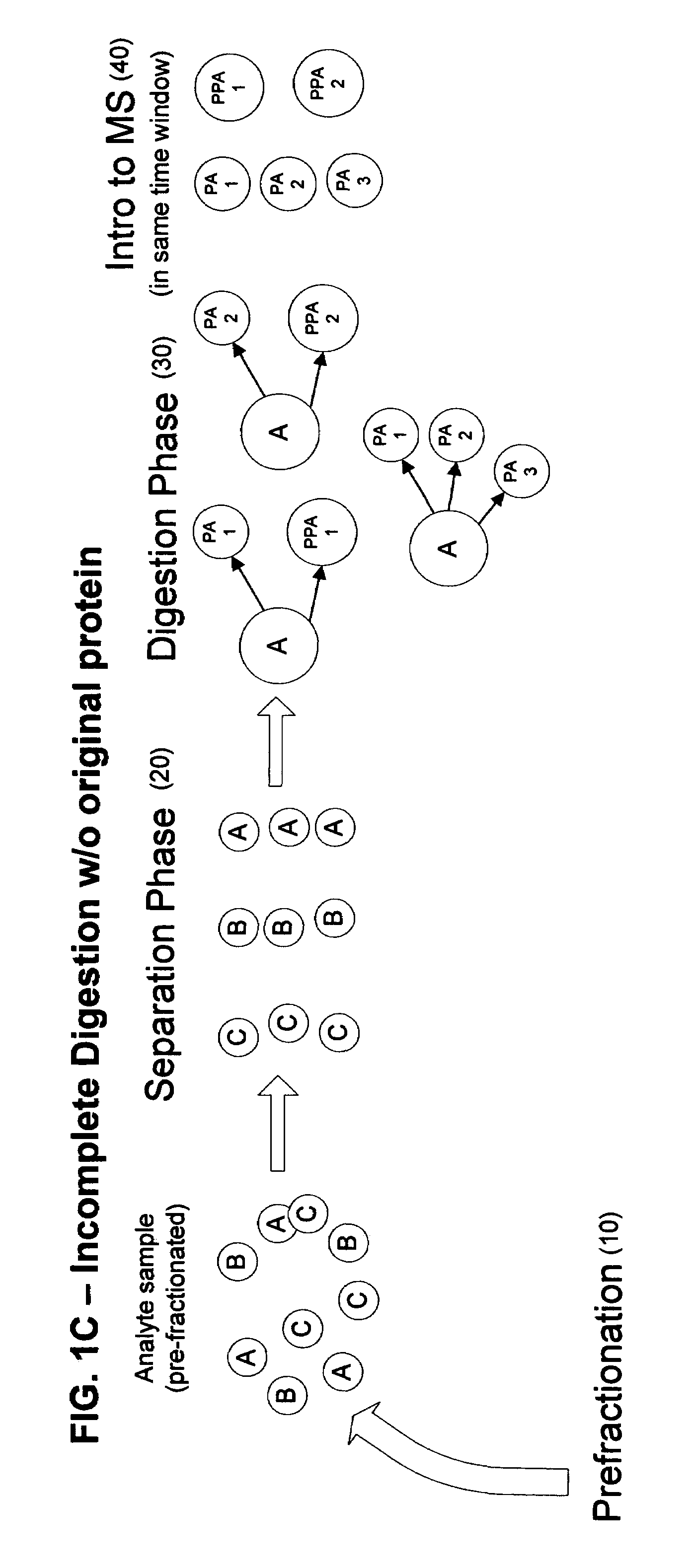 Linear high-throughput proteomics