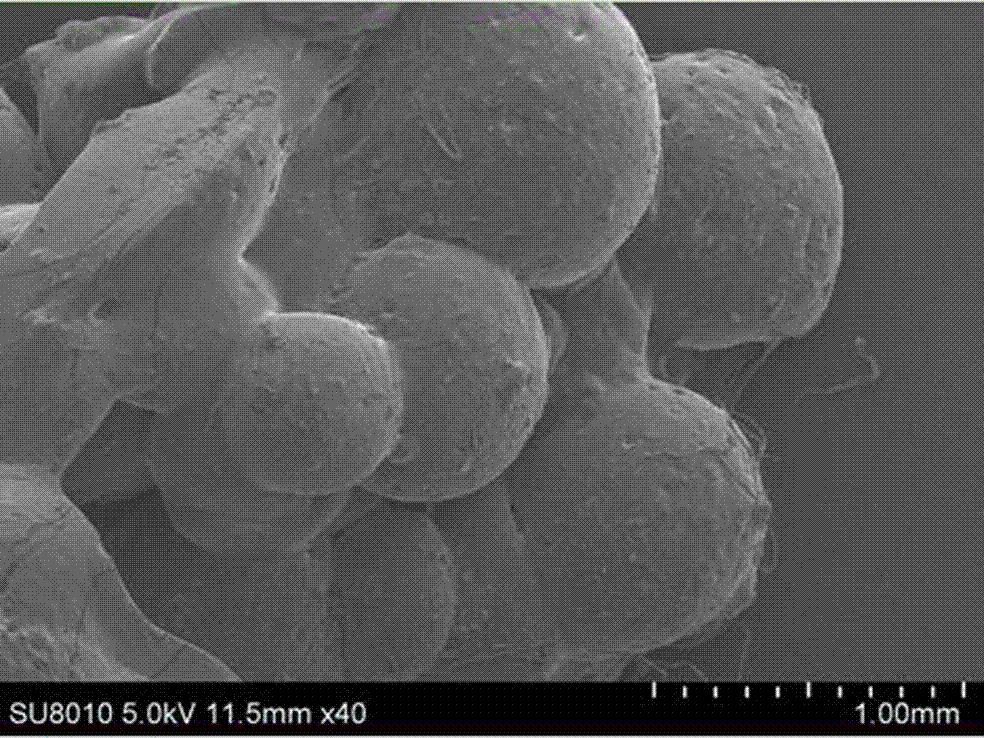 High-performance oil-absorbing polyacrylate resin and preparation method thereof