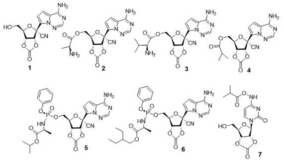 Cyclic carbonate nucleoside compound and application thereof