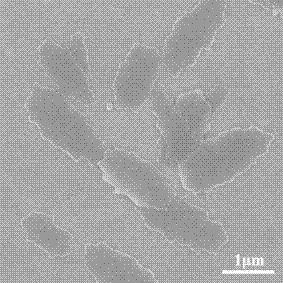 A method for preparing anilinoporphyrin self-assembled nanomaterials by co-solvent method