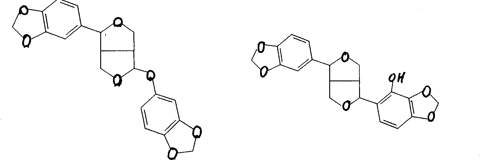 Method for extracting sesamin from sesame oil root