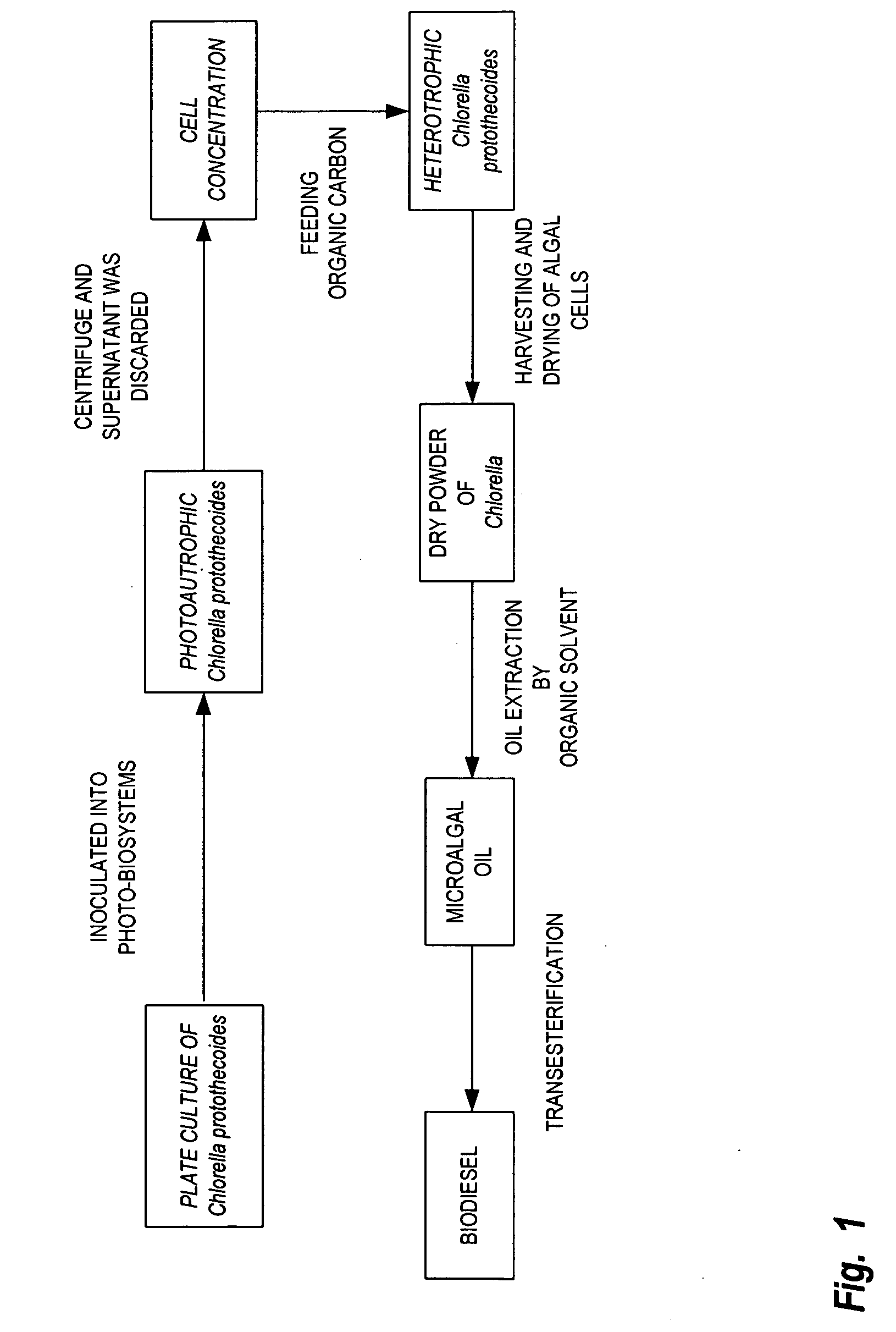 Method for producing biodiesel from an alga