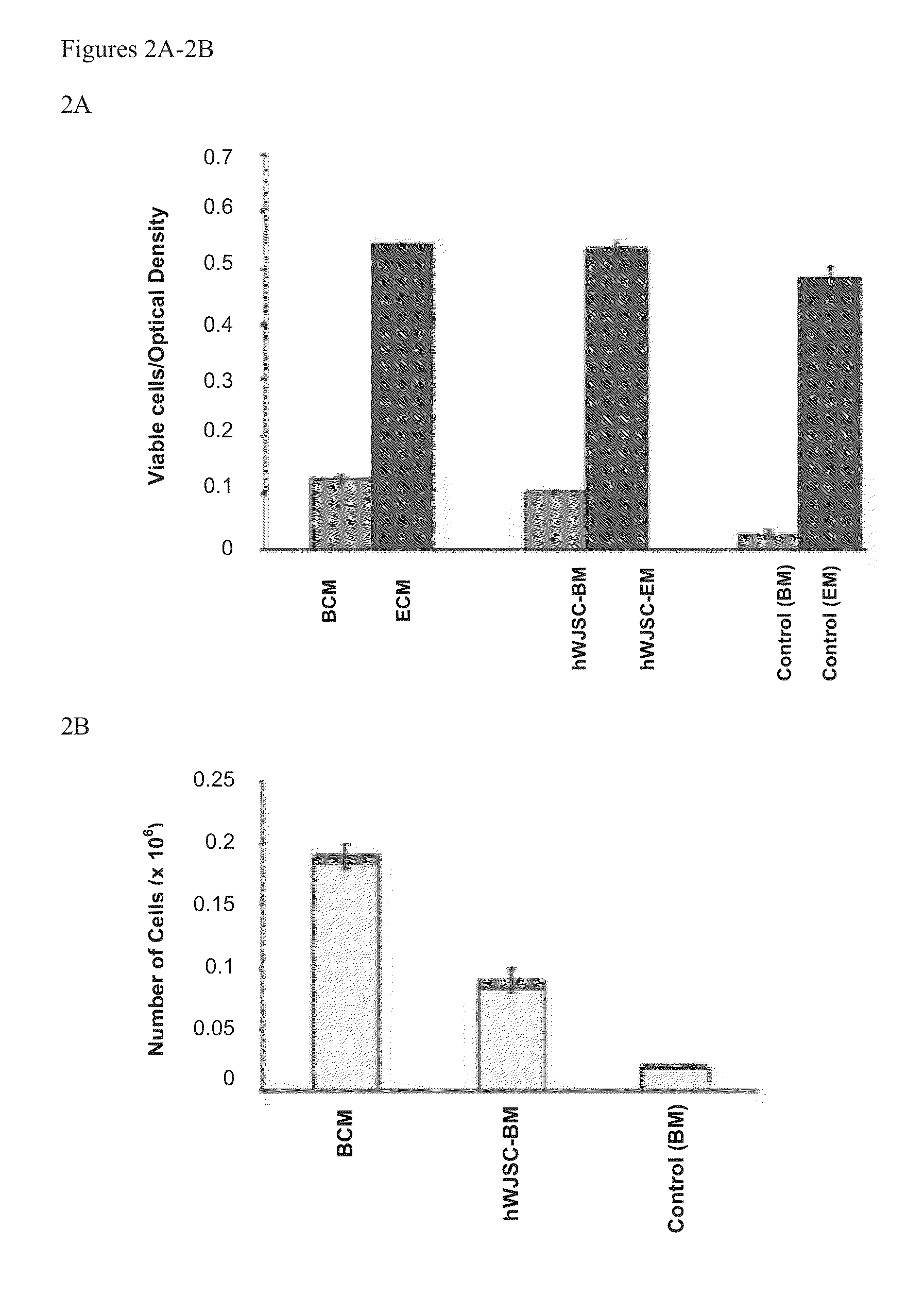 Wharton's Jelly Mesenchymal Stem Cells and Uses Thereof