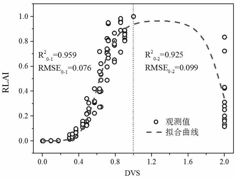 Prediction method for sunflower leaf area index growth based on salt nitrogen influence