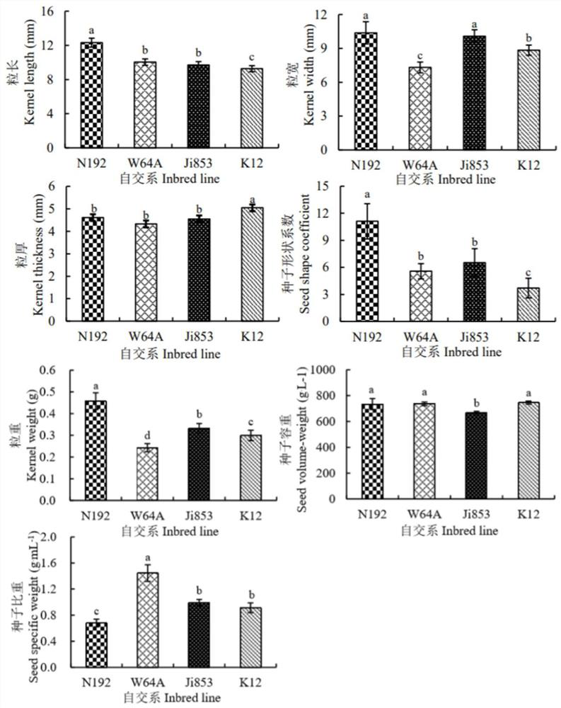 Method for evaluating maximum elongation characteristics of mesocotyl and coleoptile of Zea mays