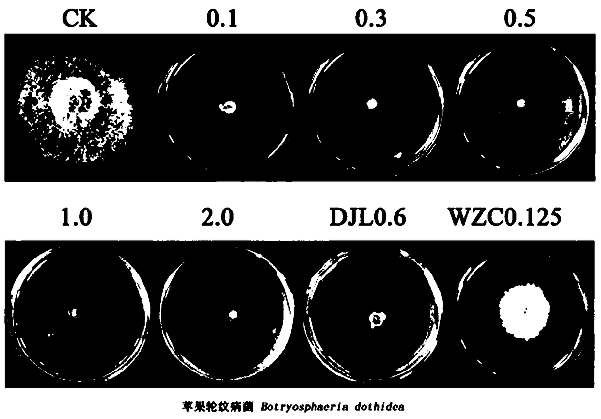 Application of voriconazole to preparation of bactericide for controlling phytopathogens