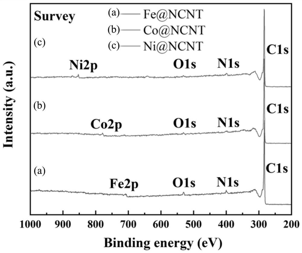 Nanoparticle-embedded nitrogen-doped carbon nanotube and method for degrading tetracycline by using nanoparticle-embedded nitrogen-doped carbon nanotube