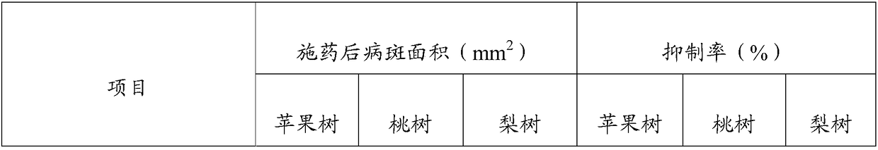 Biocontrol bacterium fermentation liquid for preventing and curing fruit tree rotten disease and preparation method thereof