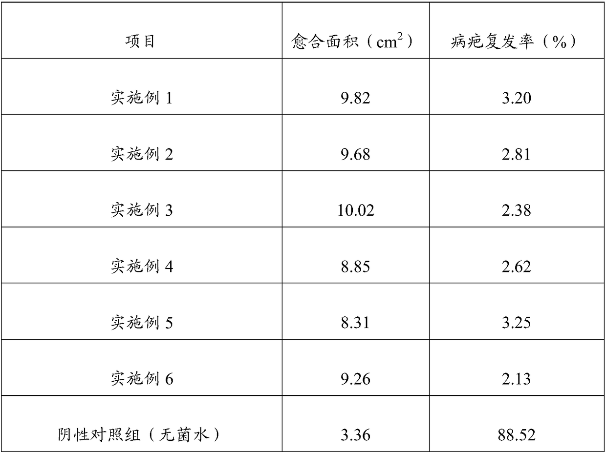 Biocontrol bacterium fermentation liquid for preventing and curing fruit tree rotten disease and preparation method thereof