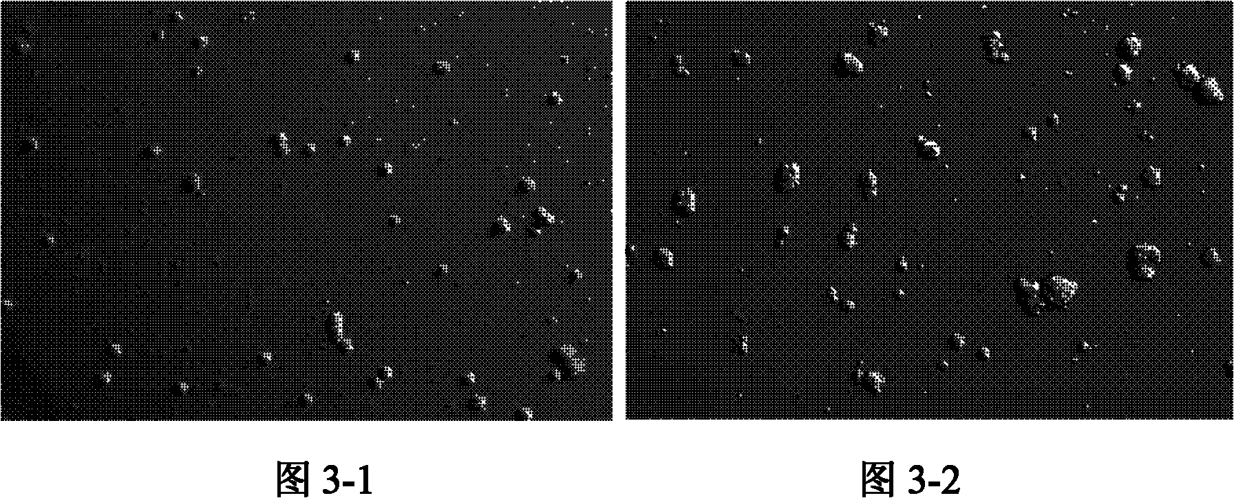 Isolation and culture method of amniotic-fluid-derived neural stem cells