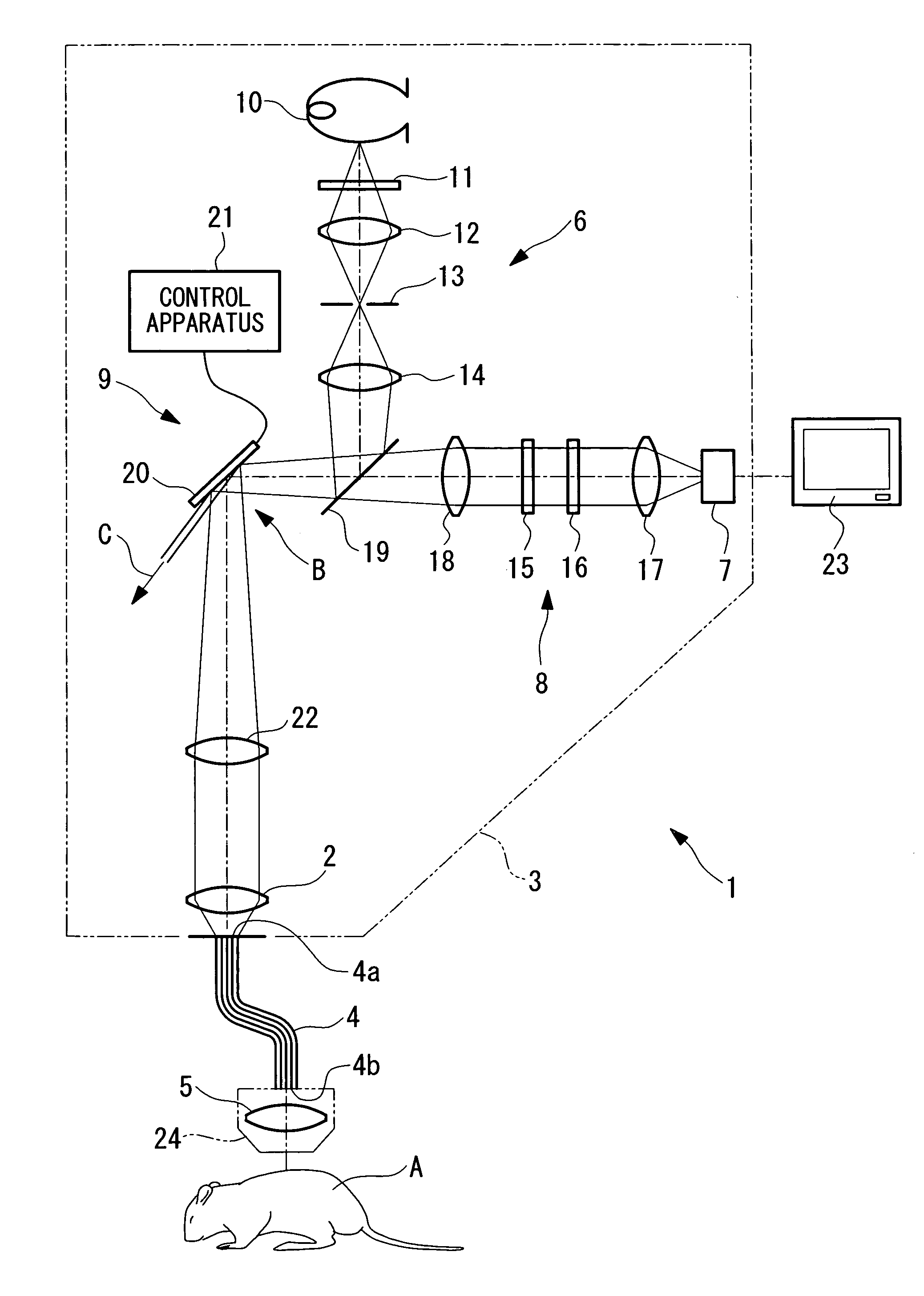 Optical-scanning examination apparatus