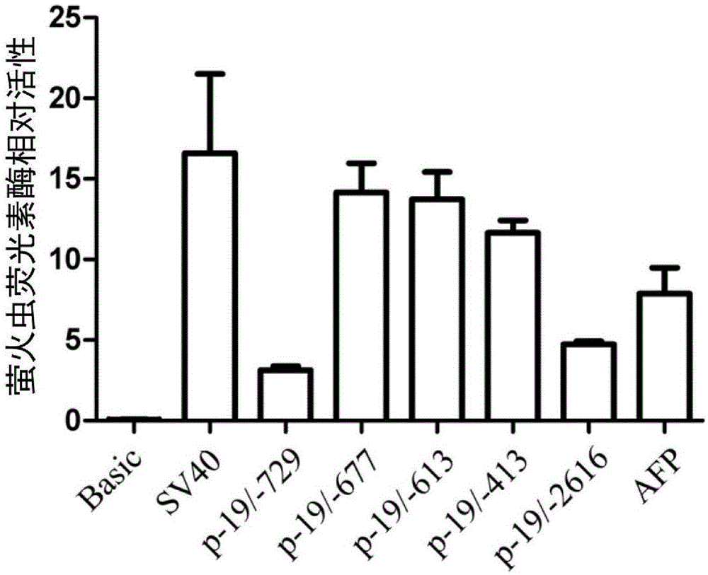 Liver cancer-specific gp73 core promoter and its screening and construction method