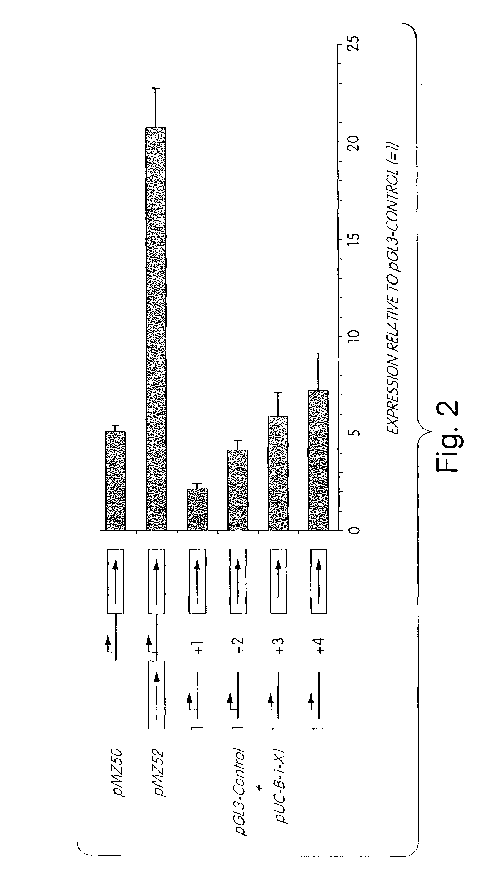 Matrix attachment regions and methods for use thereof