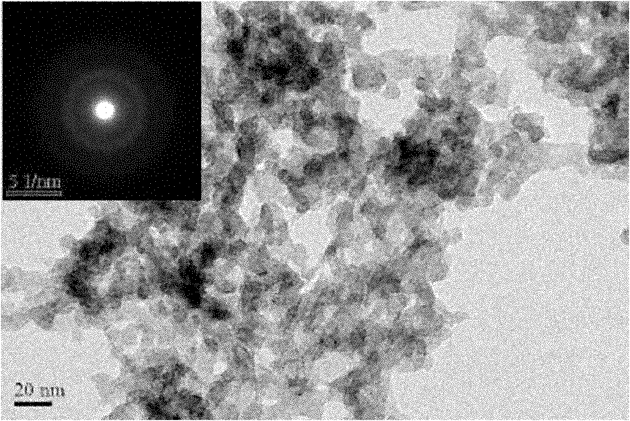 Binary amorphous alloy catalyst and preparation method and use thereof