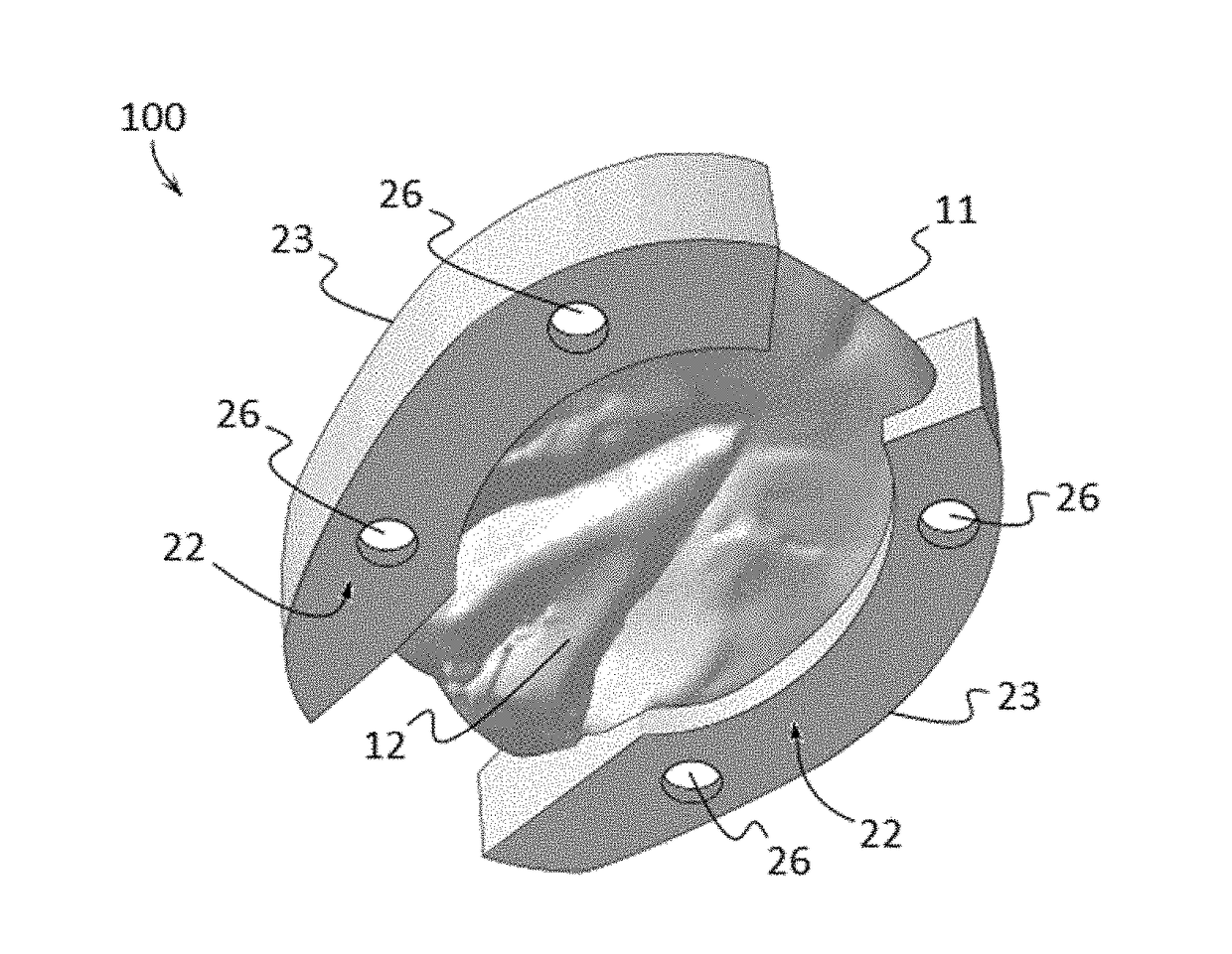 Customized Ungulate Foot Protection Devices and Related Assemblies and Methods