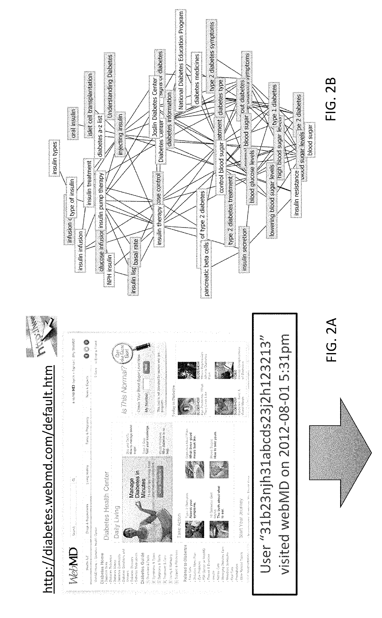 Concept-level user intent profile extraction and applications