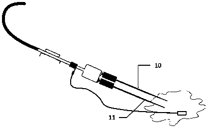 Fixing device of fish auditory brain stem electrode and application of fixing device to collecting fish auditory brain stem electrical signal