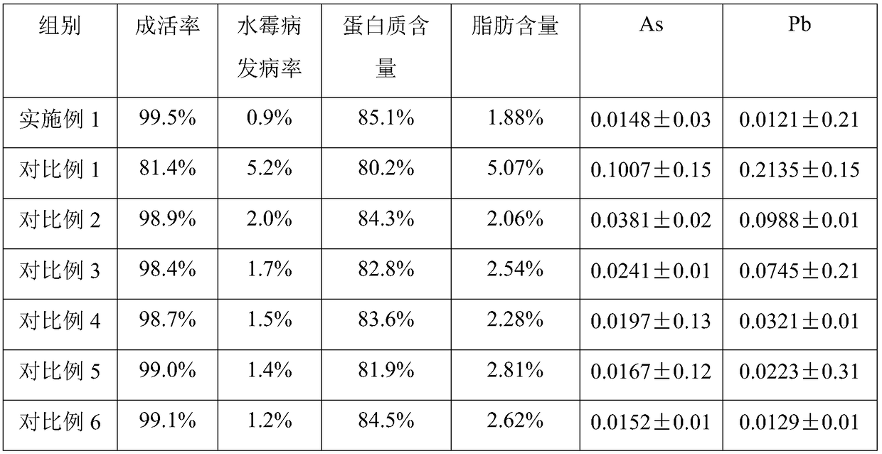 Cultivation method for improving perch meat quality