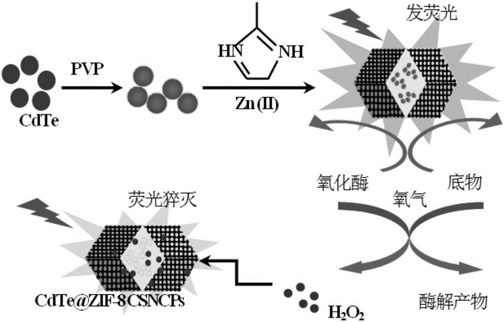 Application of CdTe QD@ZIF-8 core-shell nano composite material in detection of oxidase activity