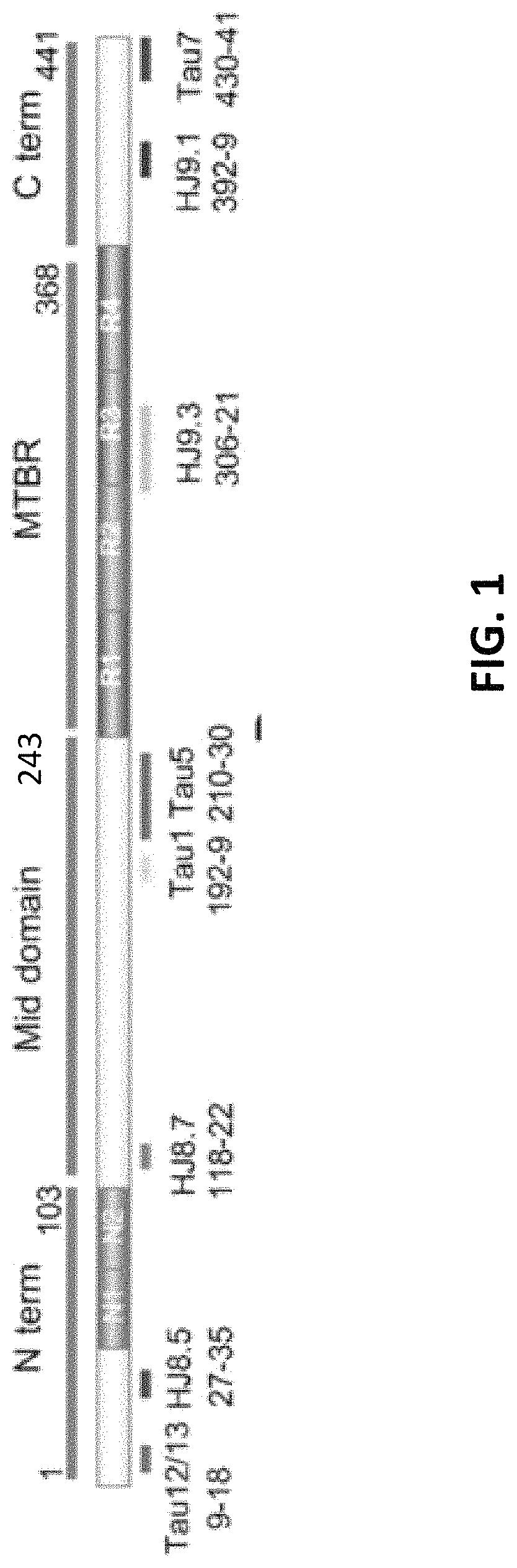 Methods of treating based on site-specific tau phosphorylation