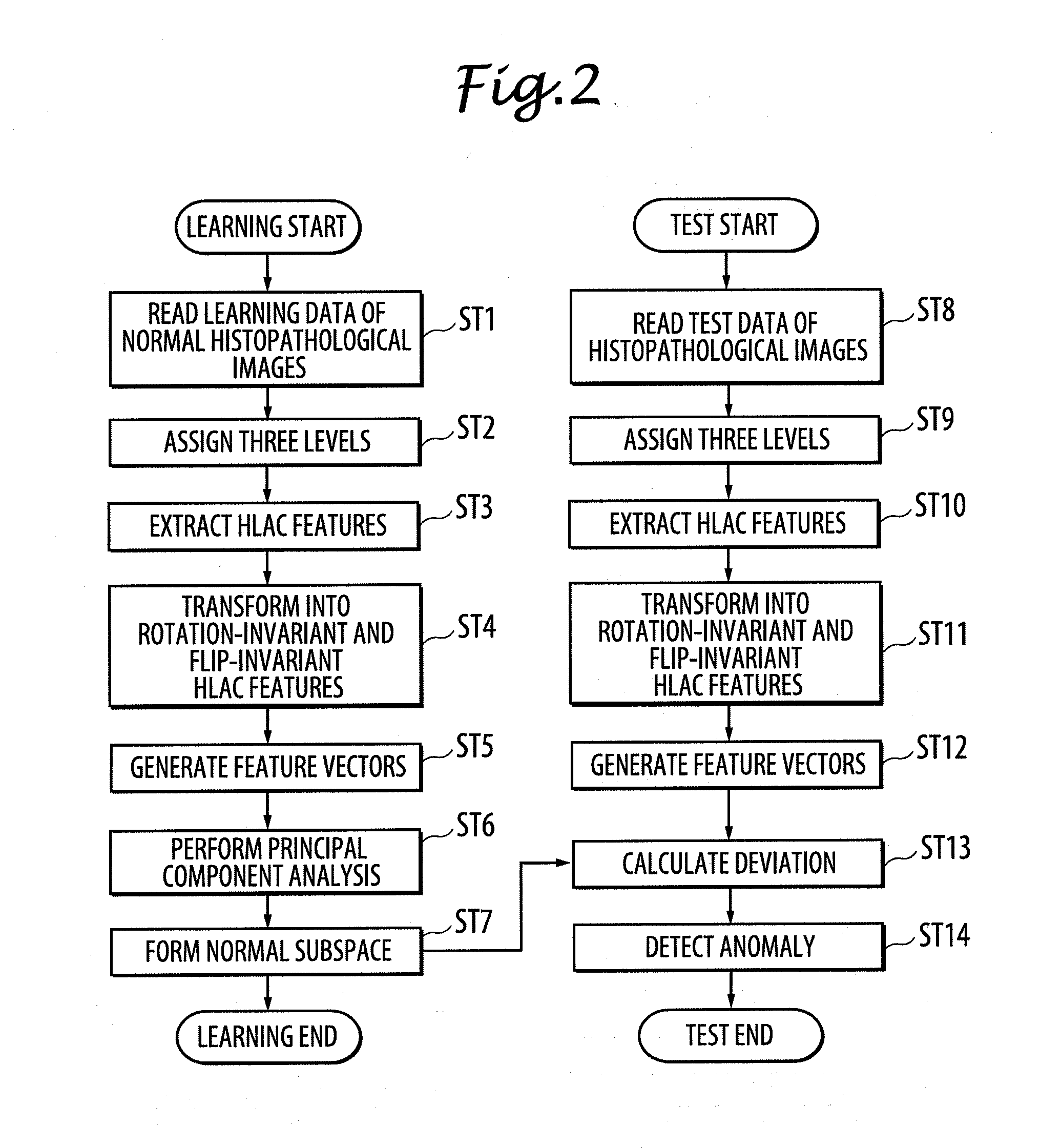 Region segmented image data creating system and feature extracting system for histopathological images