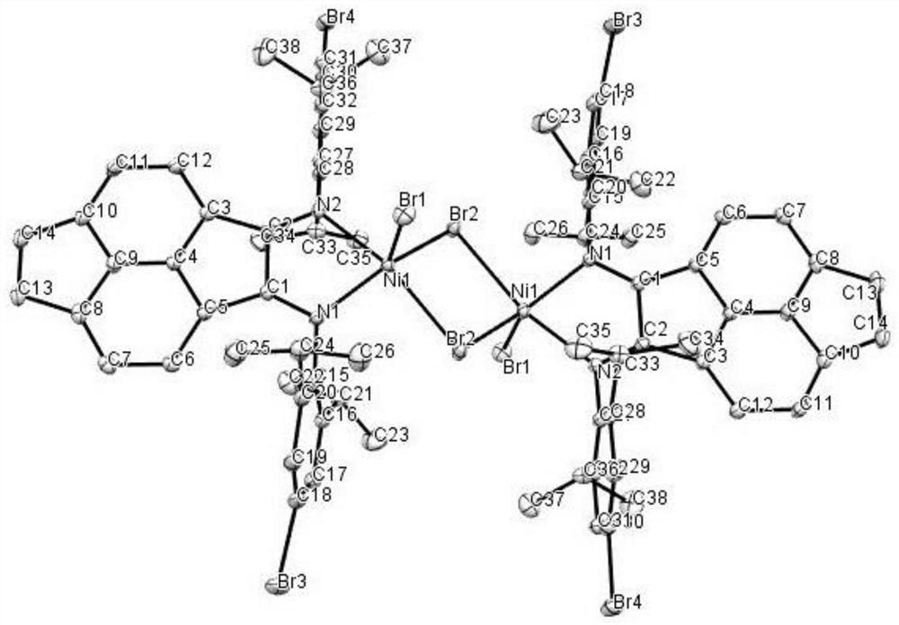 Improved (alpha-diimine) nickel catalyst as well as preparation method and application thereof