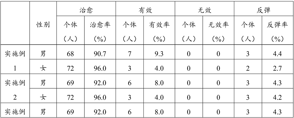 Traditional Chinese medicine composition for treating chronic gastritis caused by helicobacter pylori, preparation and preparation method of traditional Chinese medicine composition