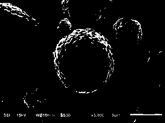 Phosphorus-doped core-shell ternary positive electrode material, preparation method thereof and lithium ion battery