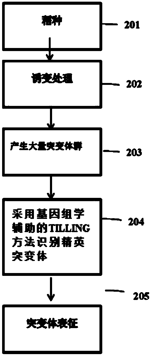 A method for increasing resistant starch and dietary fibre in rice