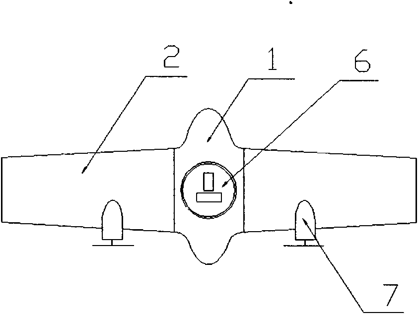 Aircraft with turnable wings