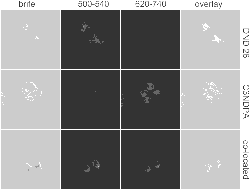 Fluorescent compound with aggregation-induced luminescence properties and application thereof to cell fluorescence imaging field