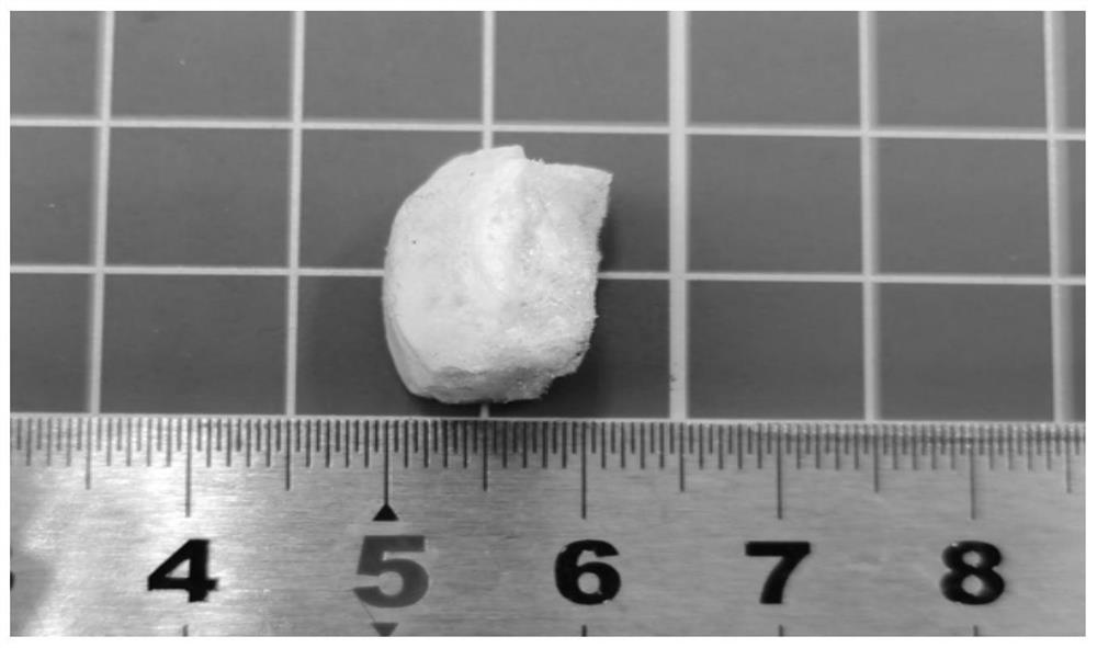 Shape memory porous material and preparation method and application thereof