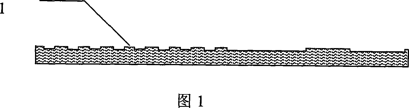 Large area micro nano structure soft impression method