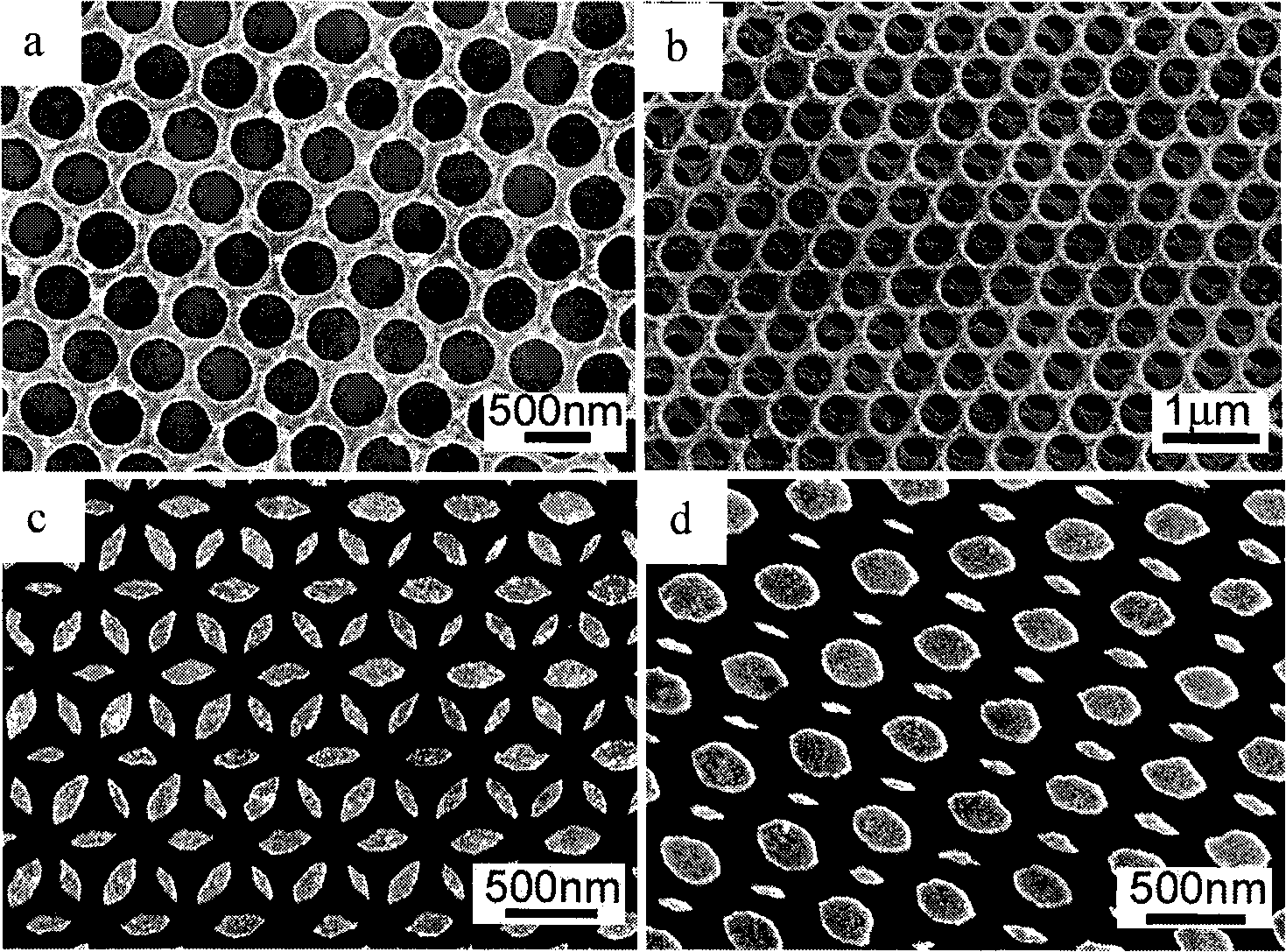 Method for preparing nano-mesh film